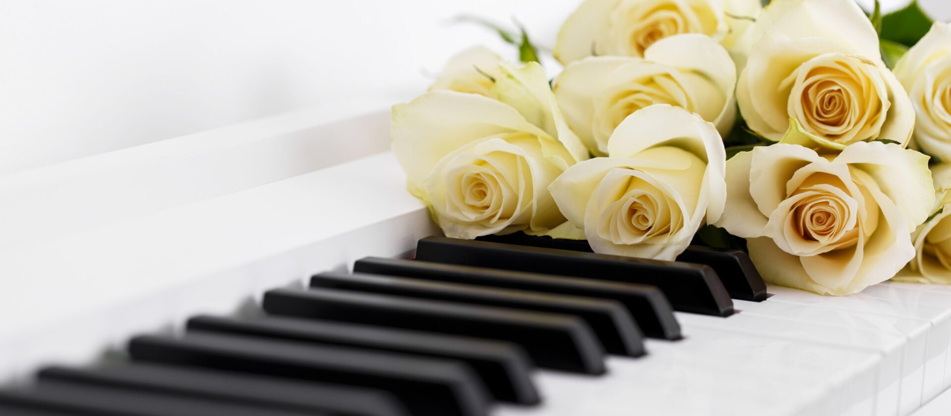 Romantic concept, piano and bouquet of white roses, close up